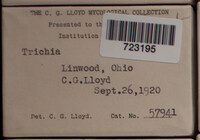 Image Associated With the Occurence